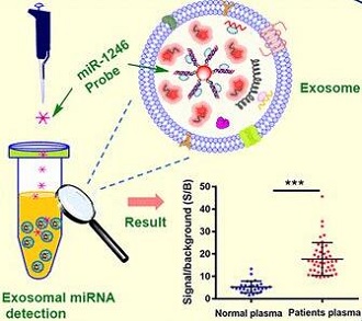 外泌体miRNA测序